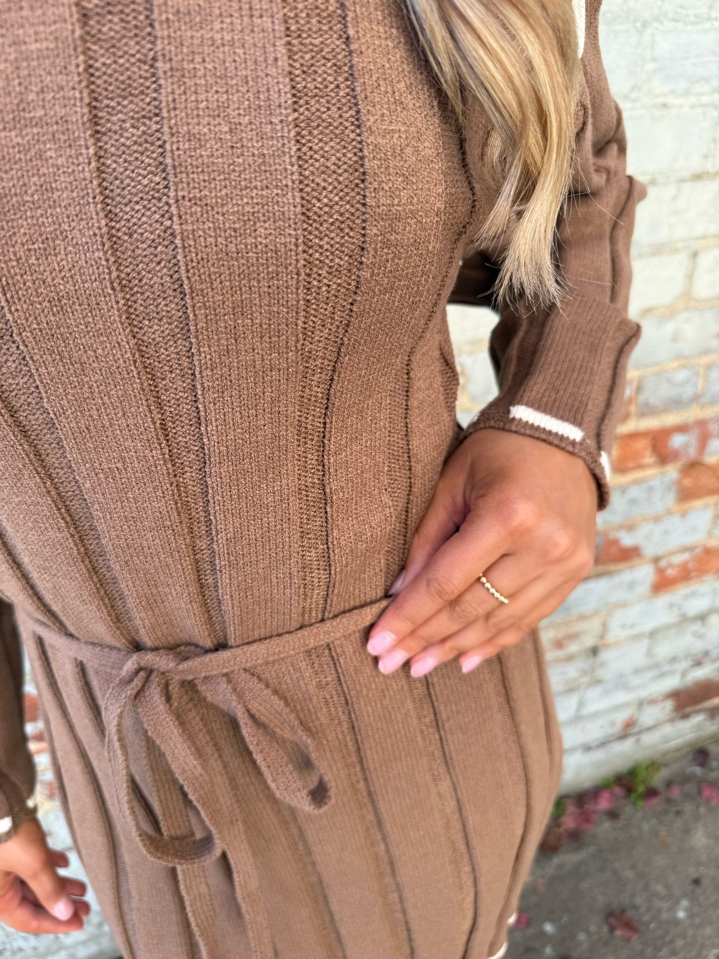Trey Stitch Sweater Dress