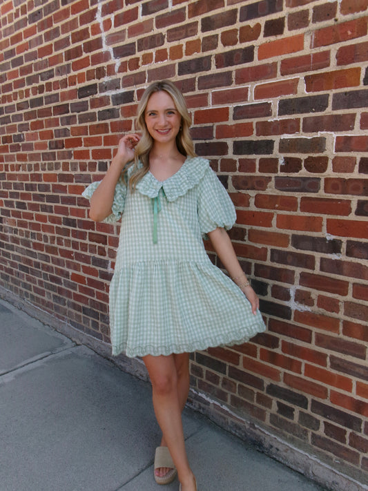 Sweet Meadow Gingham Dress